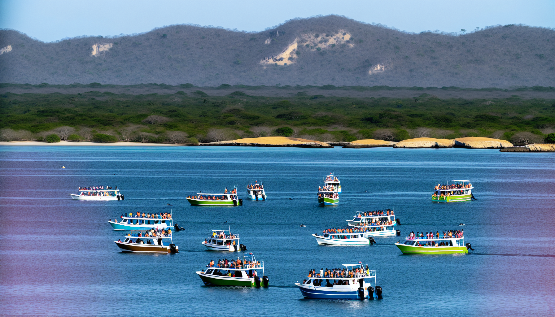 Whale watching boats in Magdalena Bay