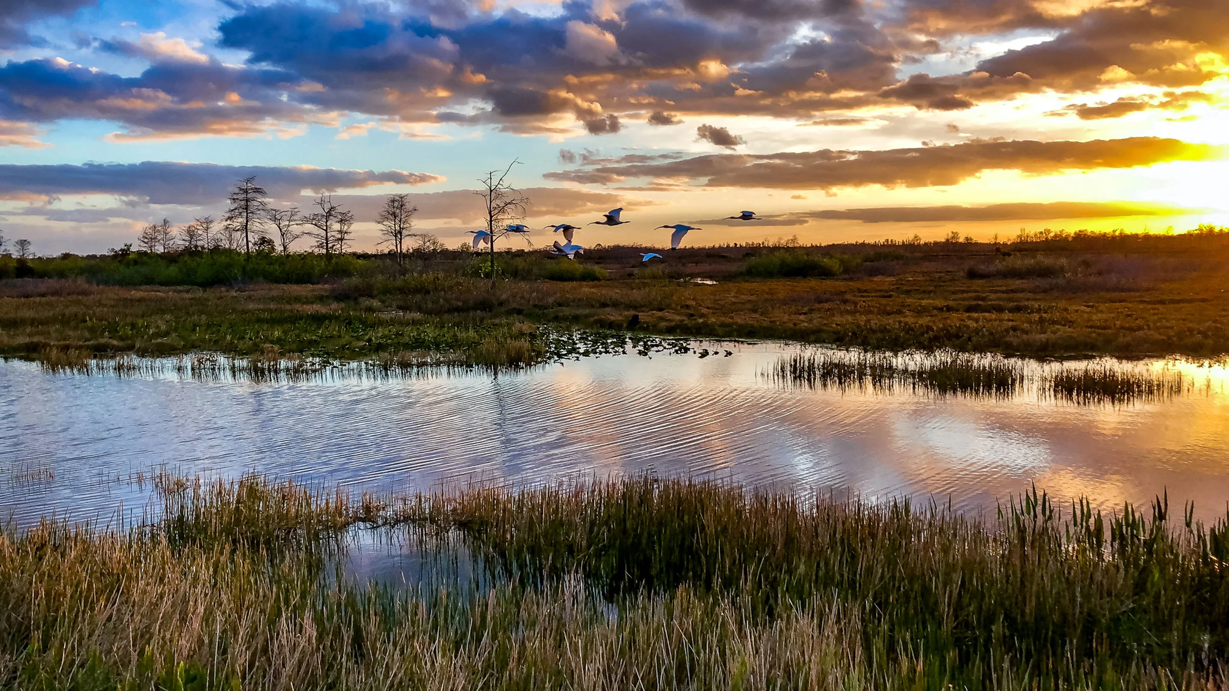 Threats to the Everglades