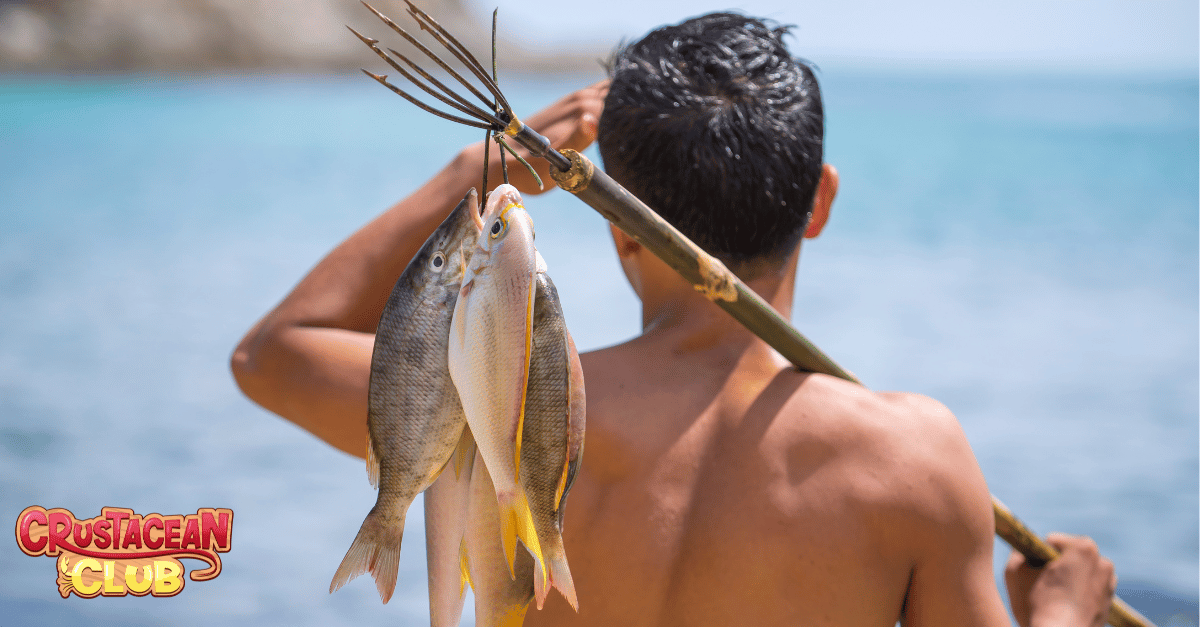 An image depicting spear fishing