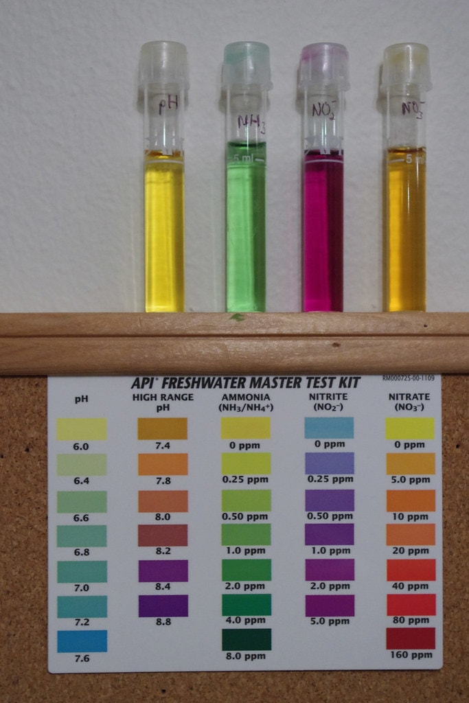 Stable water chemistry is important