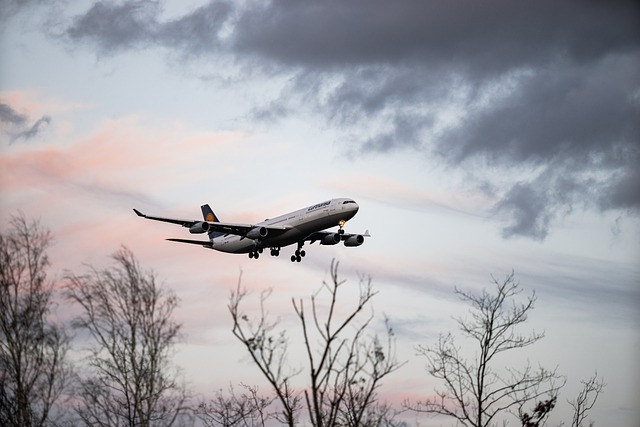 plane tours gatlinburg