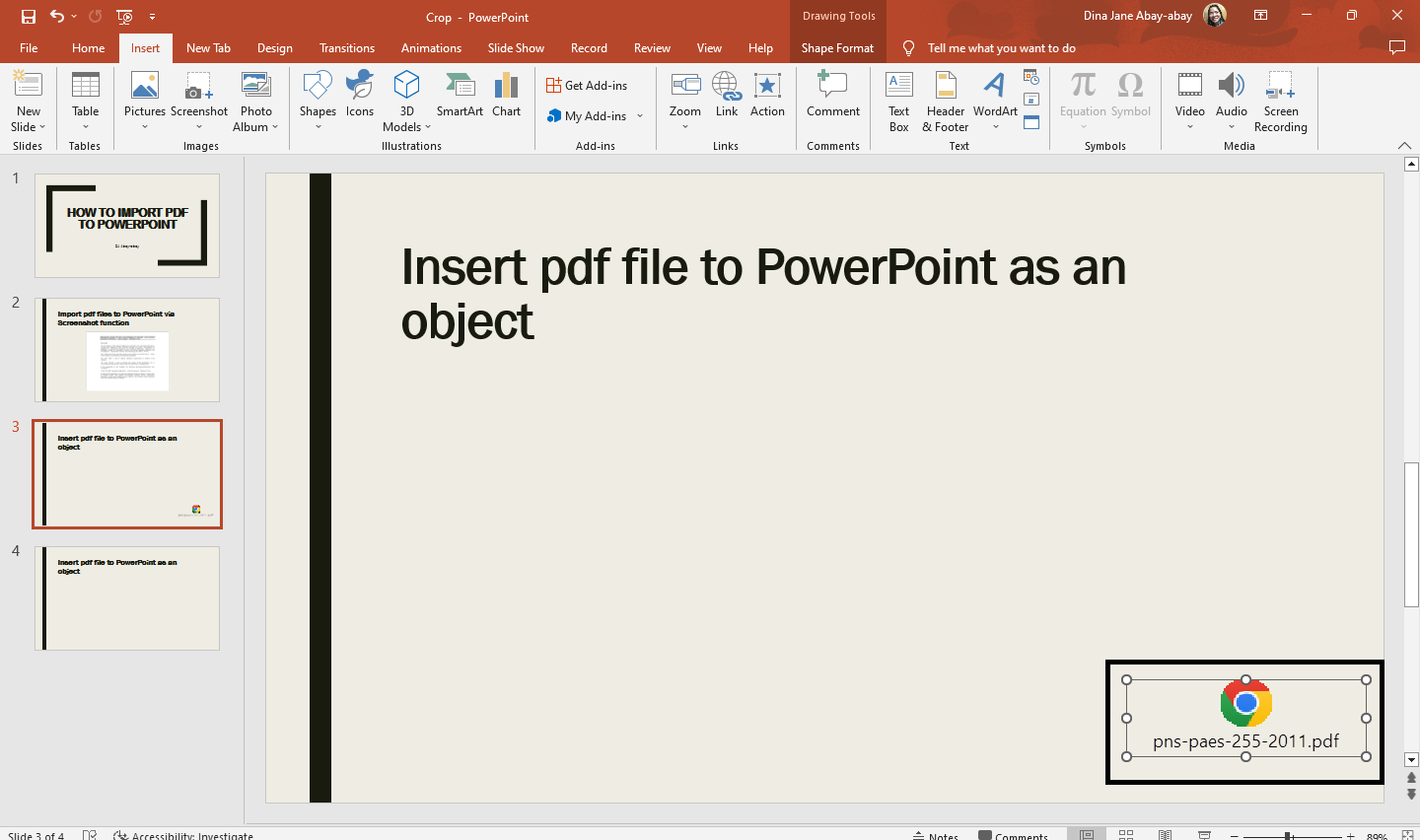 You now have insert object box to your PowerPoint file.