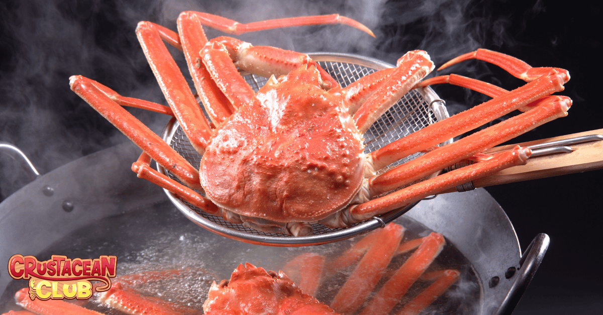 Snow crab being steamed