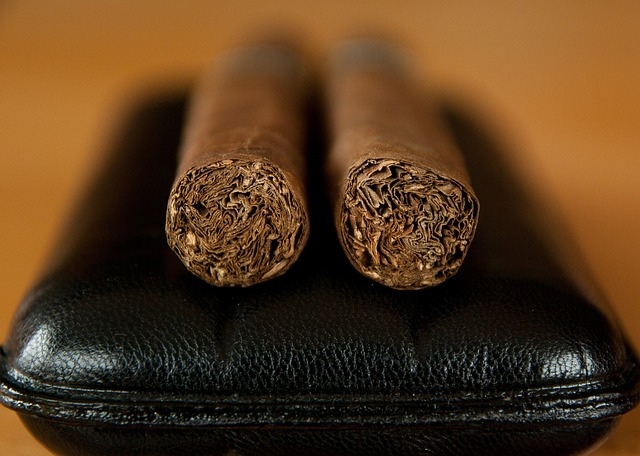 A Spanish cedar-lined cigar case with two cigars and a cigar cutter