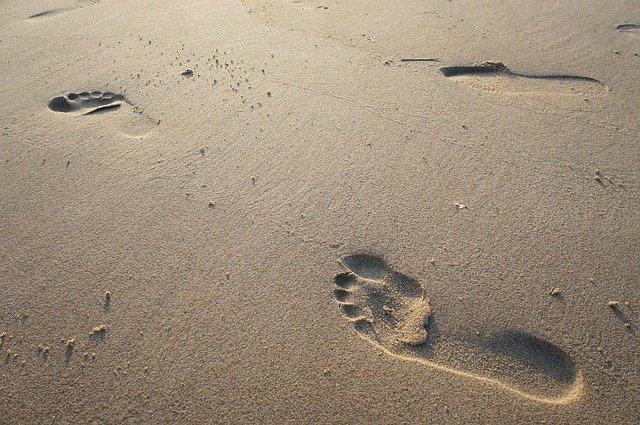 sand, beach, foot