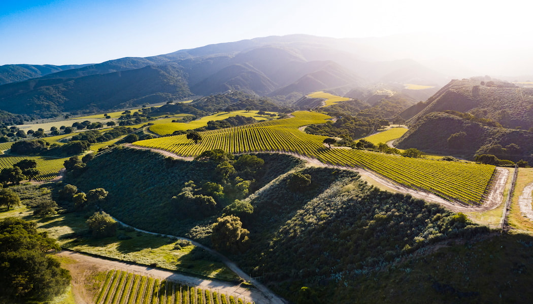 Areil view of Santa Lucia Mountains and vineyards