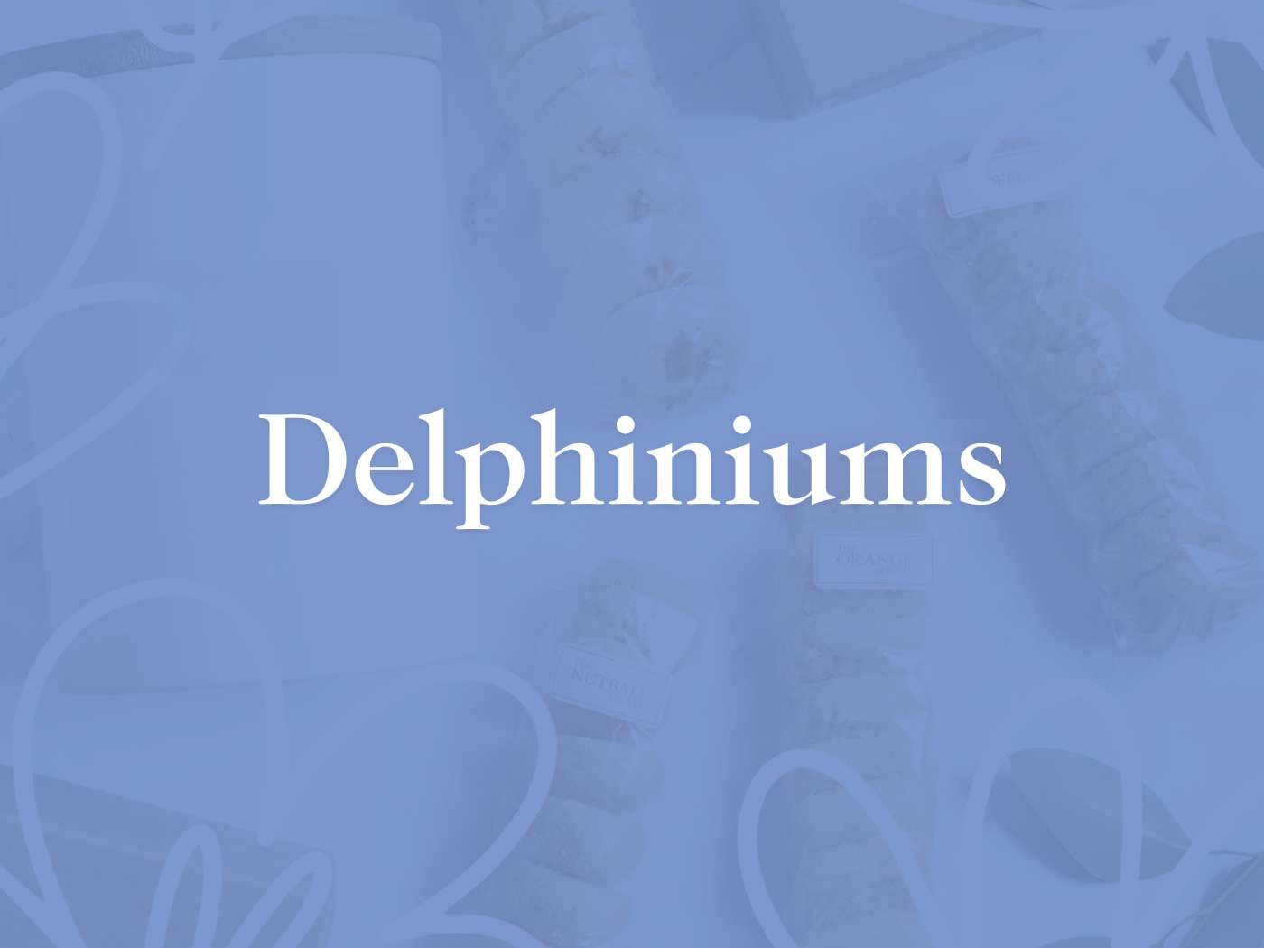 Promotional banner for the Delphiniums Collection, featuring a selection of high-quality floral products, available at Fabulous Flowers and Gifts.