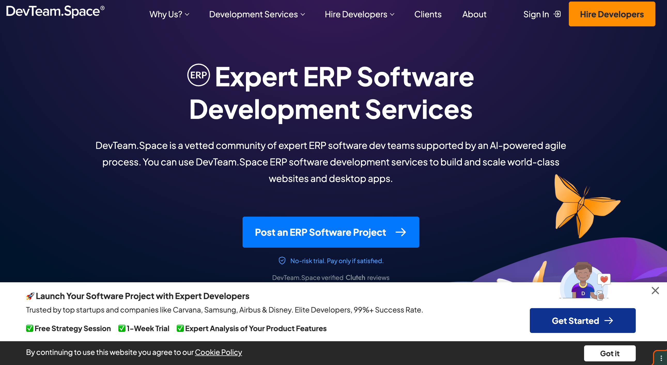 DevTeamSpace ERP services page