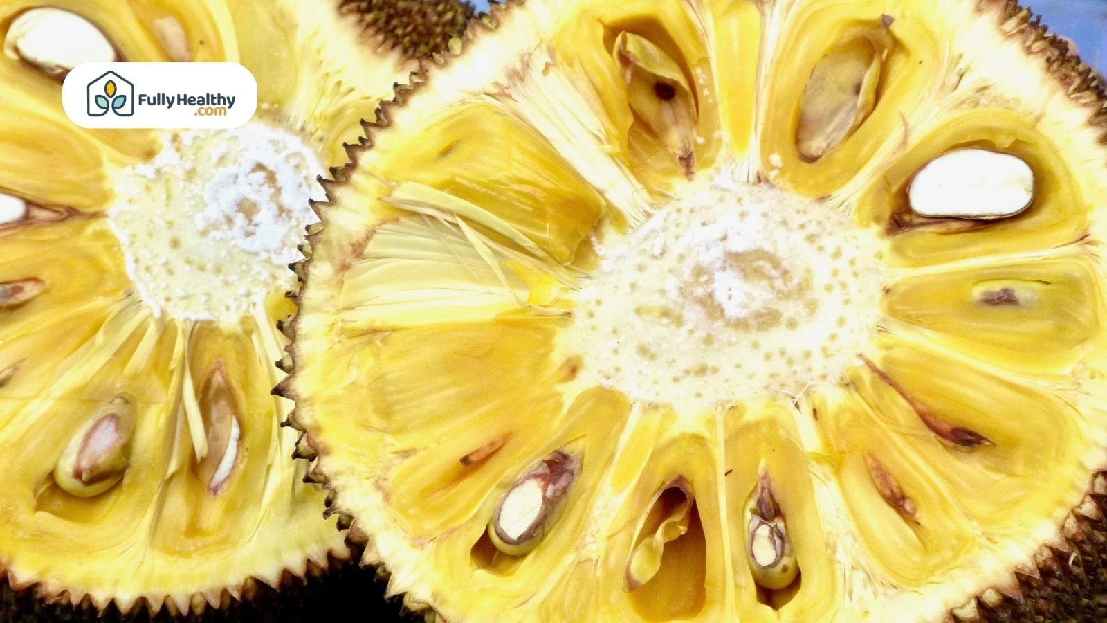 Close-up of ripe jackfruit showing yellow pods and visible seeds inside