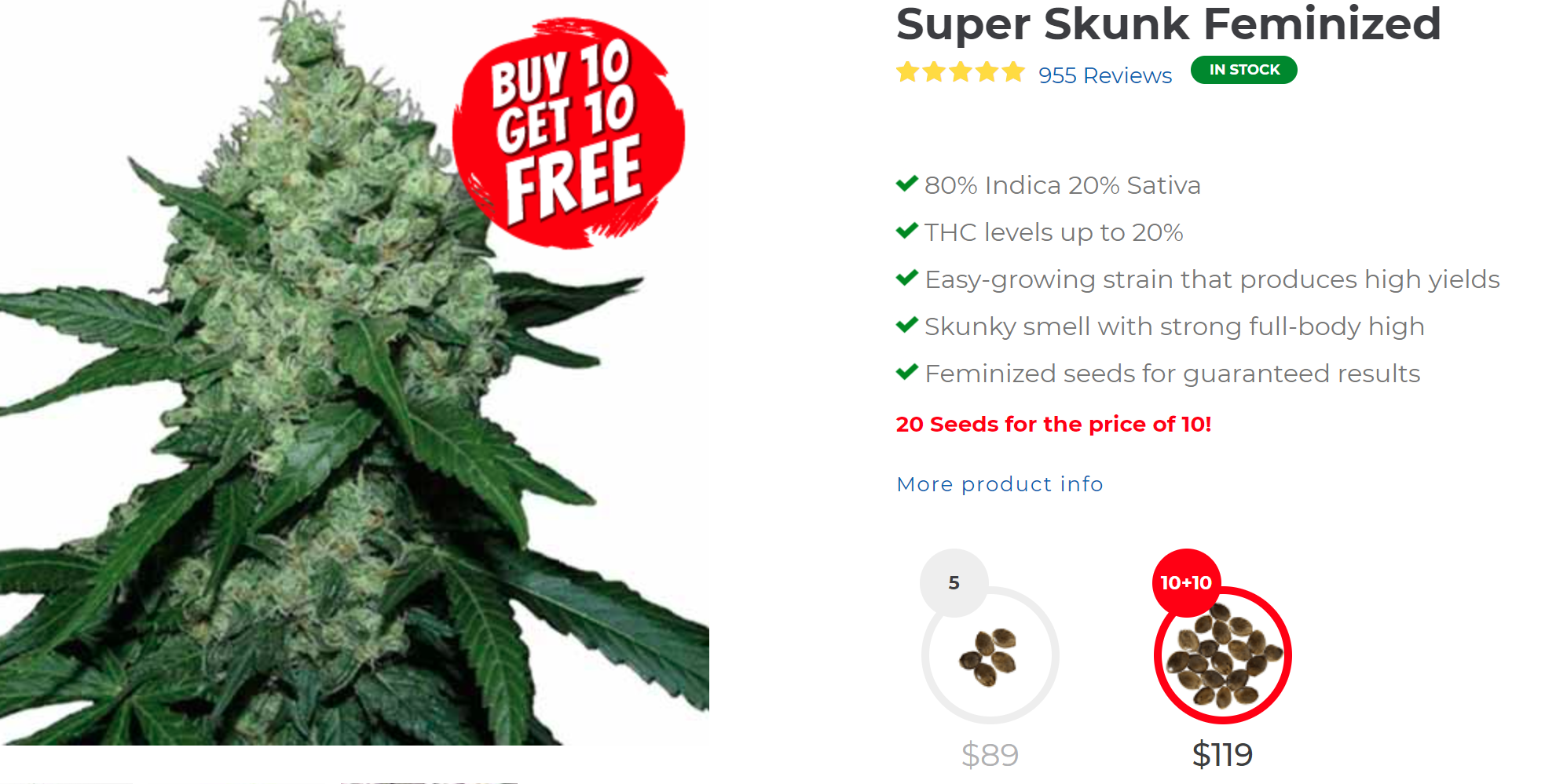 Ilgm Seeds Review: Is It A Legitimate Seed Bank? Super Skunk Feminized Cannabis Seeds