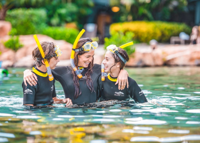 discovery cove experience