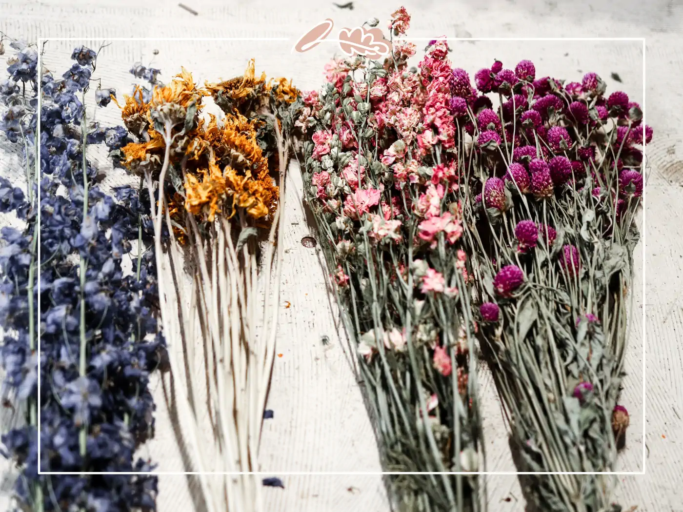 Multiple bunches of dried flowers in blue, yellow, pink, and purple, arranged side by side on a white surface. Fabulous Flowers and Gifts.