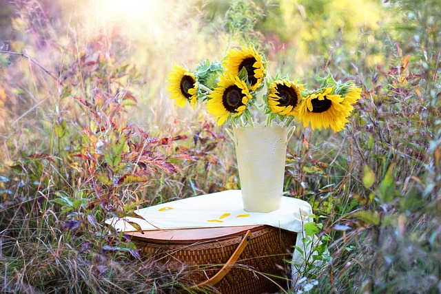 sunflowers, vase, bouquet
