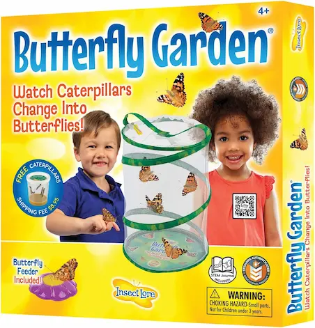 Butterfly Garden Kit for kids