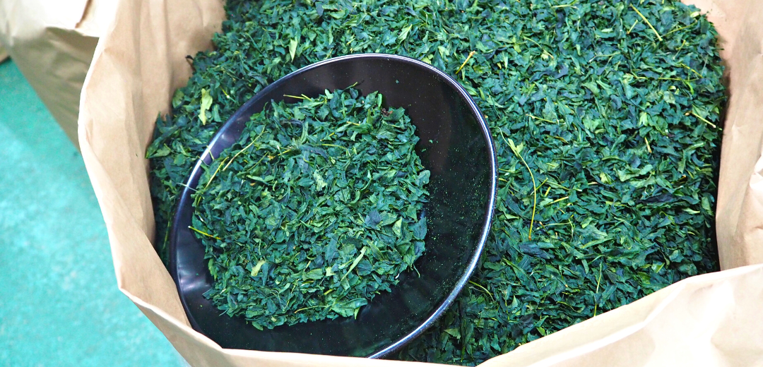 Tencha is what matcha leaves are called after they have been steamed and dried.