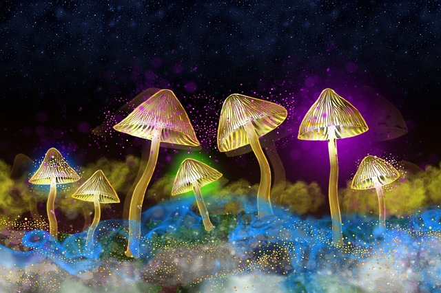 glowing mushrooms, mushrooms, glow