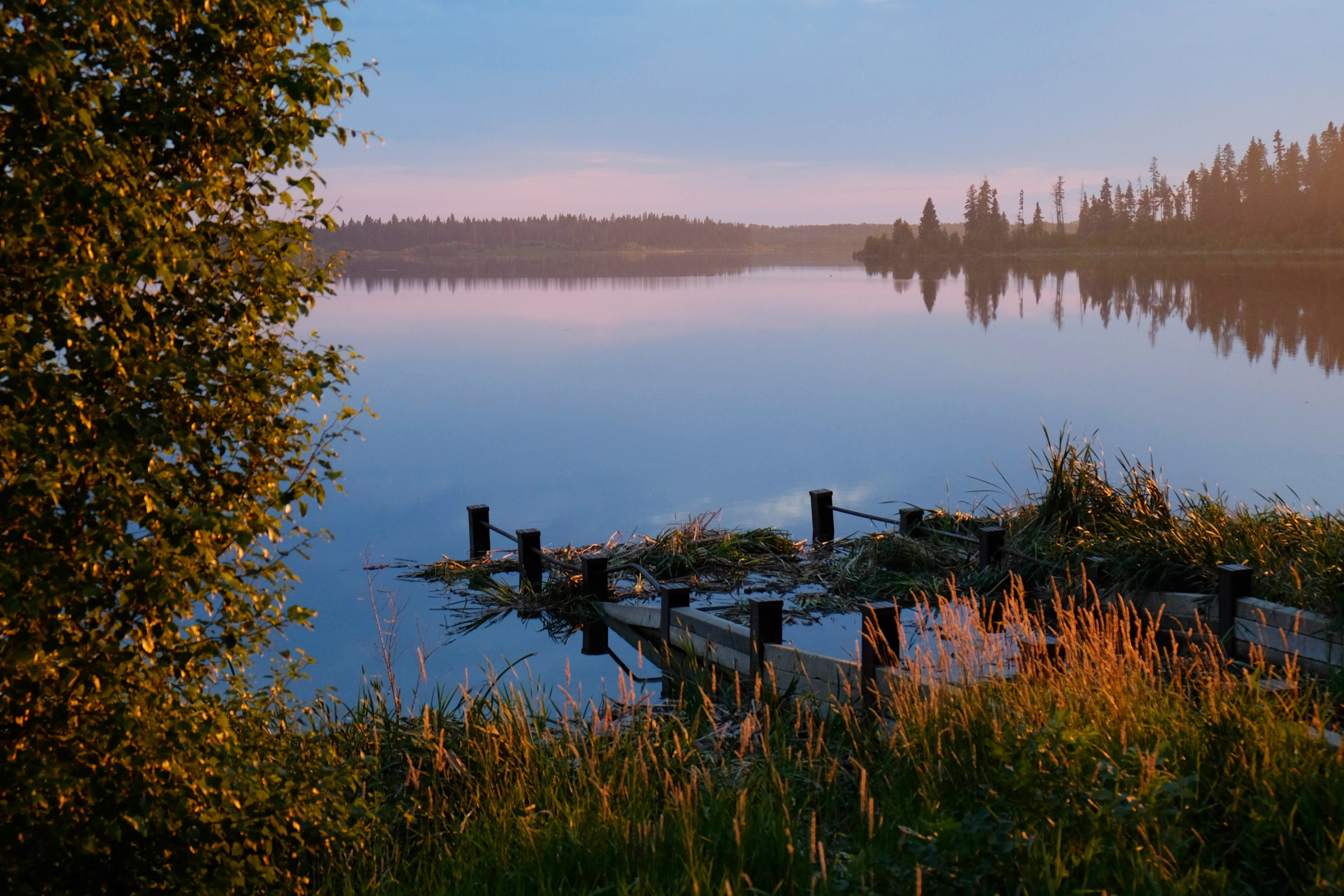 beaver pond trail, north america