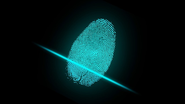 finger, fingerprint, security