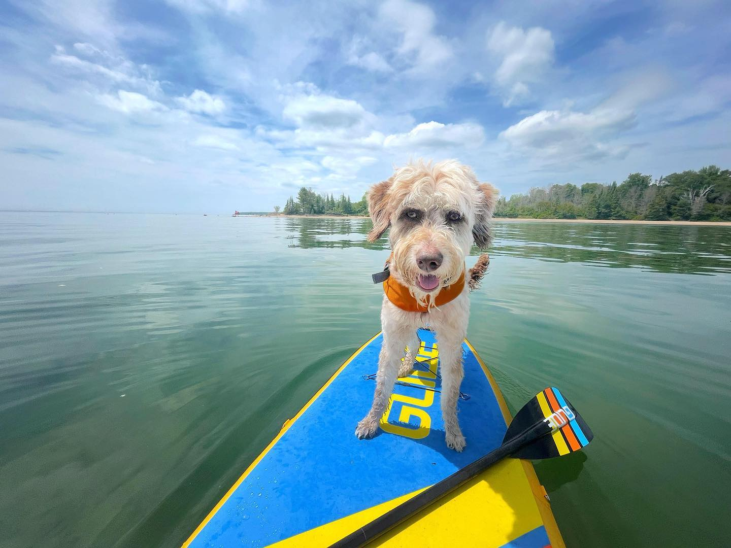 inflatable paddle board with large center fin are key features