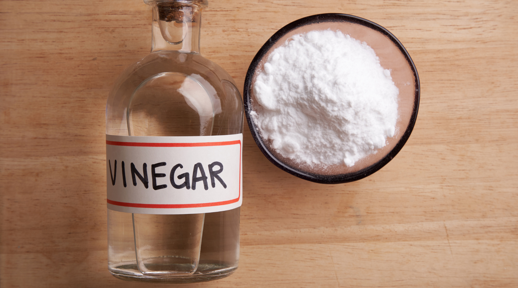 vinegar and baking soda for dog pee