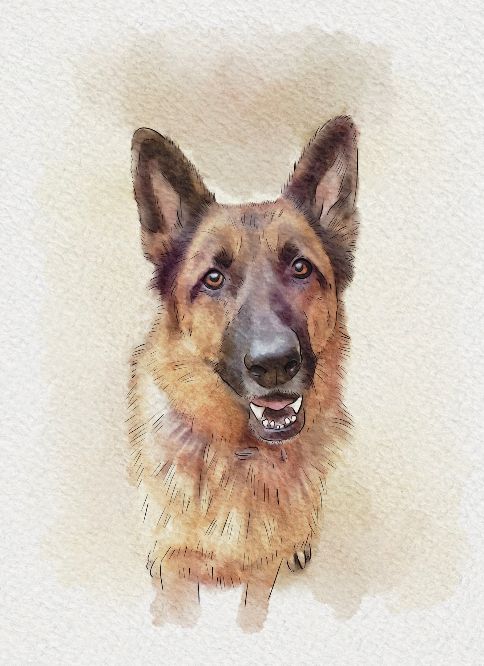 A beautiful custom pet portrait showcasing a furry companion.