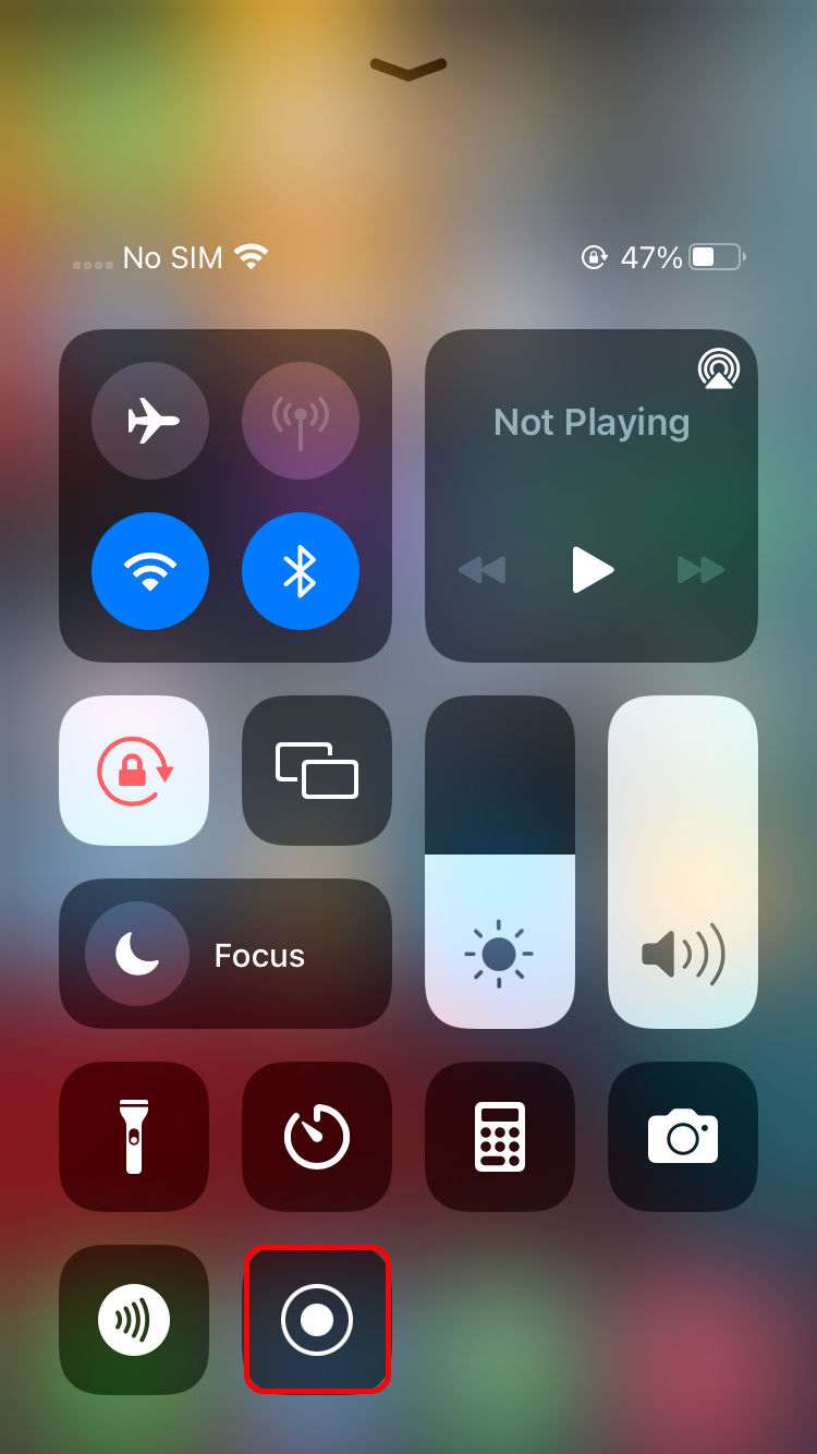 iPhone Screen Record button in the Control Center