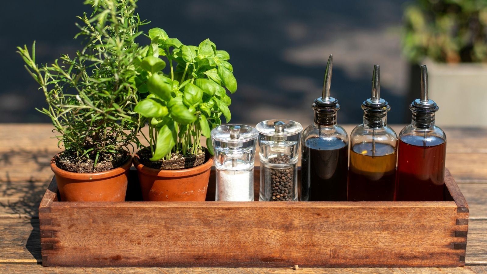 Fresh herbs and seasoning bottles with salt, pepper, and oil dispensers