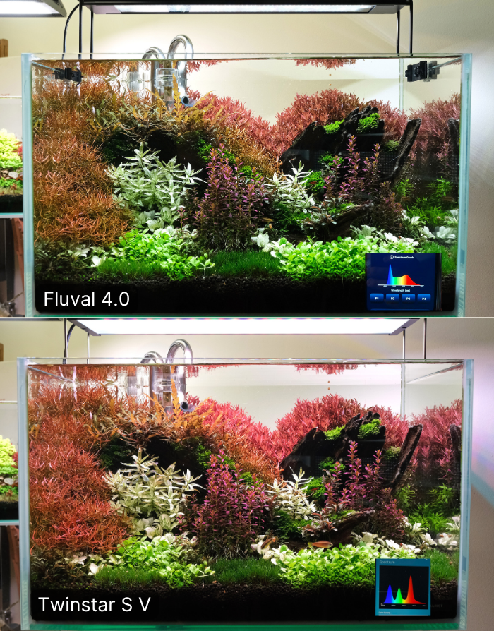 Comparison of the Fluval Plant 4.0 vs Twinstar S V