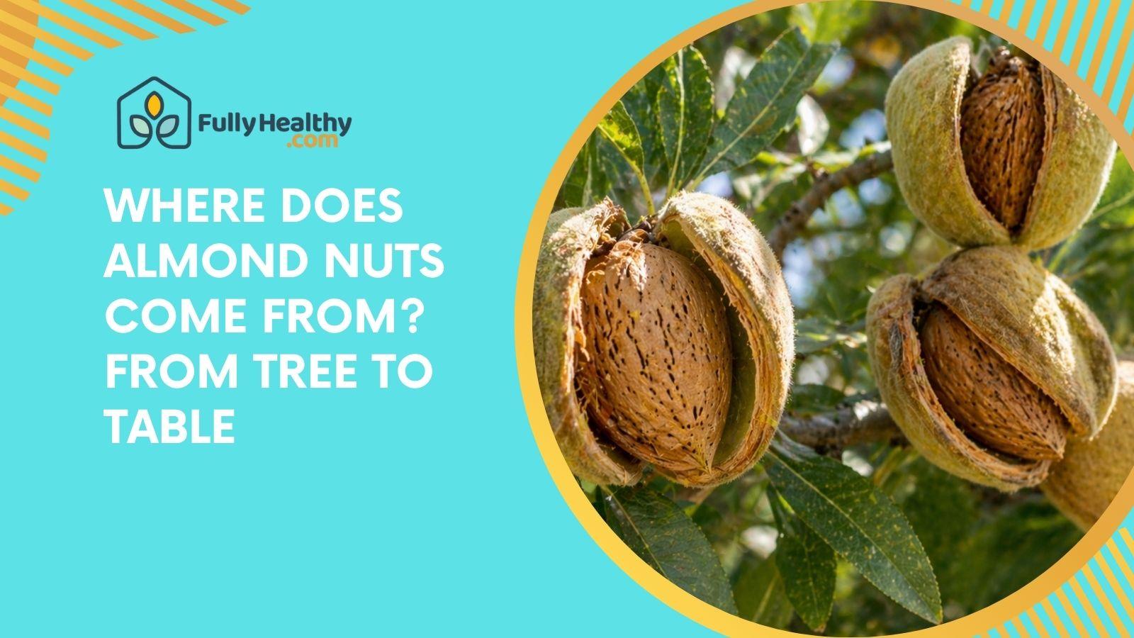 Where Does Almond Nuts Come From? From Tree To Table