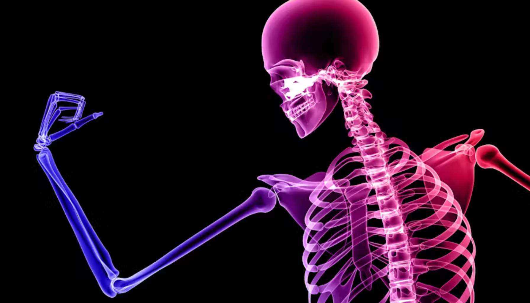 Digitalt røntgenbilde av menneskeskjelett i profil med fargede bein og ryggsøyle, mot svart bakgrunn.