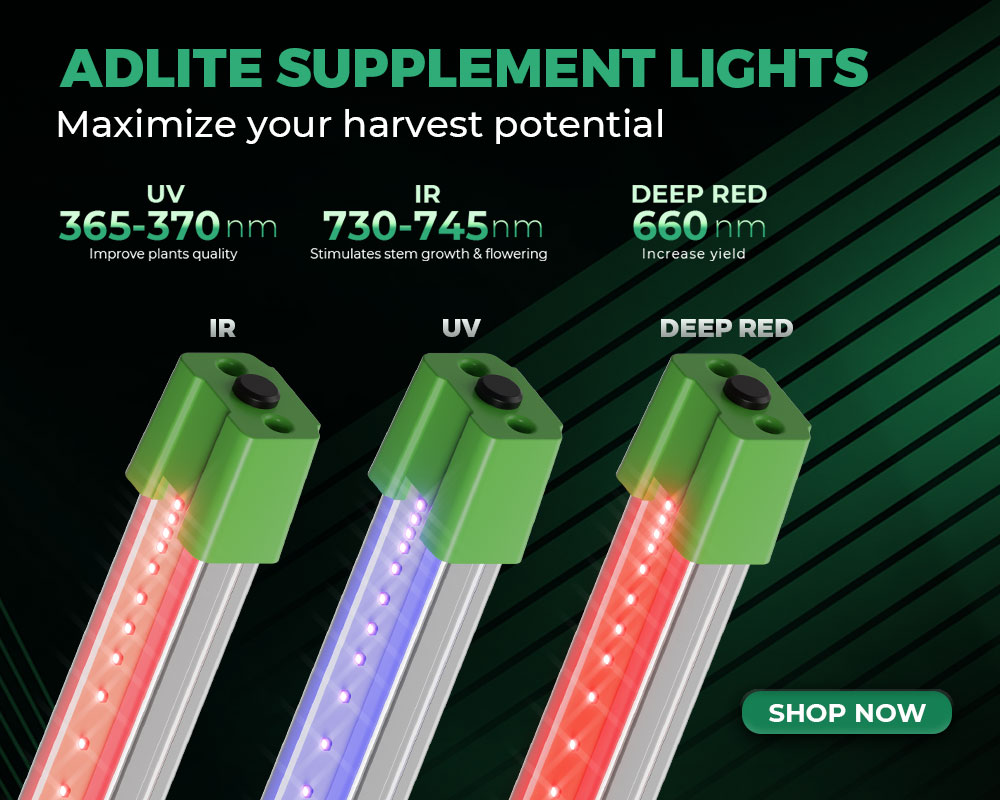 Adlite Supplement Light: Game-Changer in Crop Quality