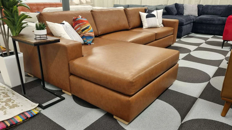A family with pets enjoying their sectional sofa, illustrating pet-proofing techniques.