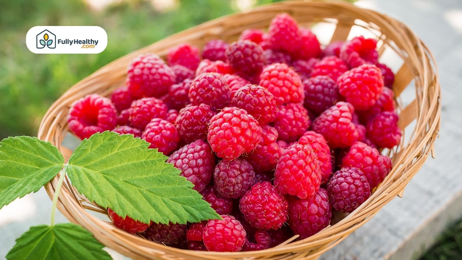 Wicker basket filled with freshly picked raspberries next to raspberry leaves