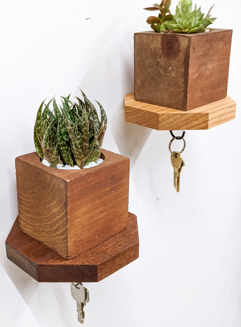 Two Octagon Genuine Mahogany Floating Shelves with succulents resting on the top 