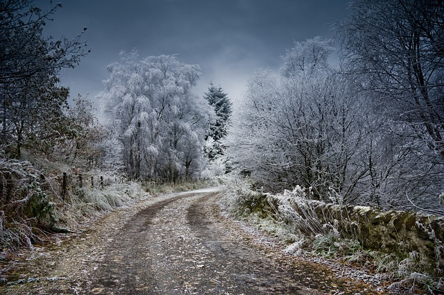 frost, scotland, winter