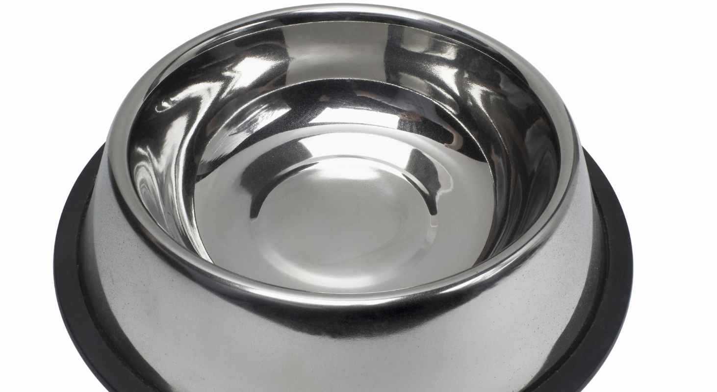 Say Goodbye to That Slimy Layer in Your Dog's Water Bowl!