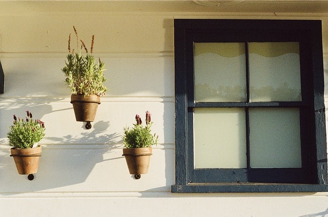 Wood siding and black-trim window