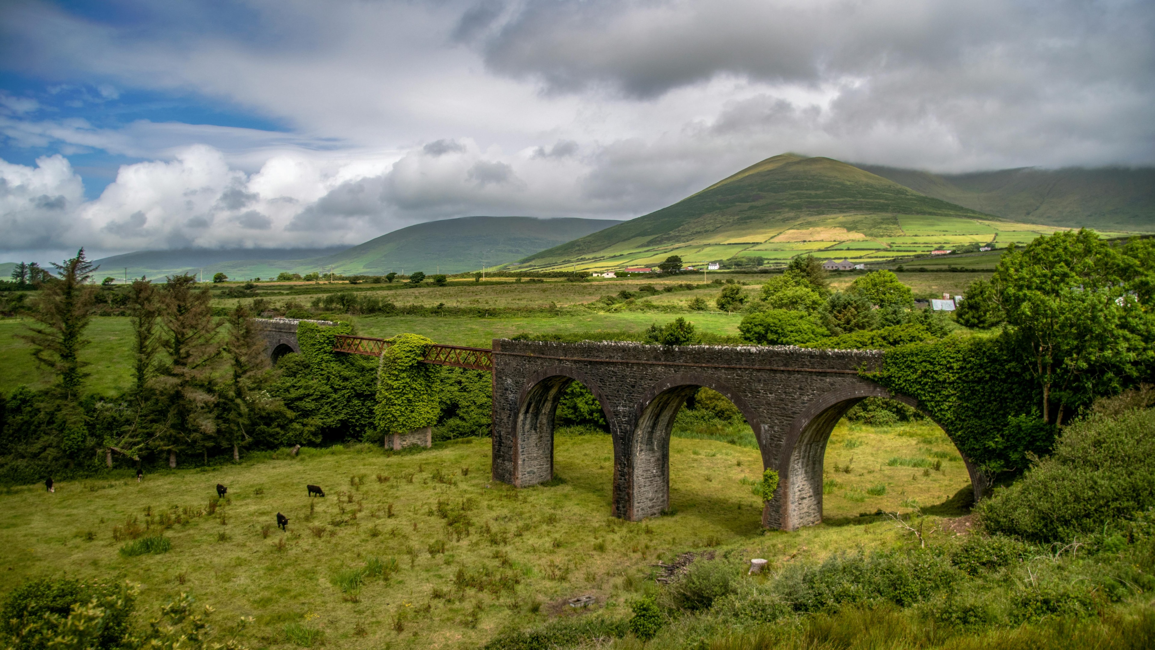 With peaceful scenic vistas like this, Ireland is sure to cast a spell on you. The standard International Foundation Year isn’t only about studying hard and aiming for successful completion—it’s also about laying a solid foundation for university life while building memories that last a lifetime.