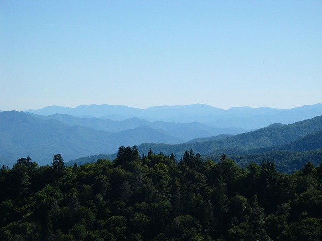 smoky mountains, tennessee, new found gap road