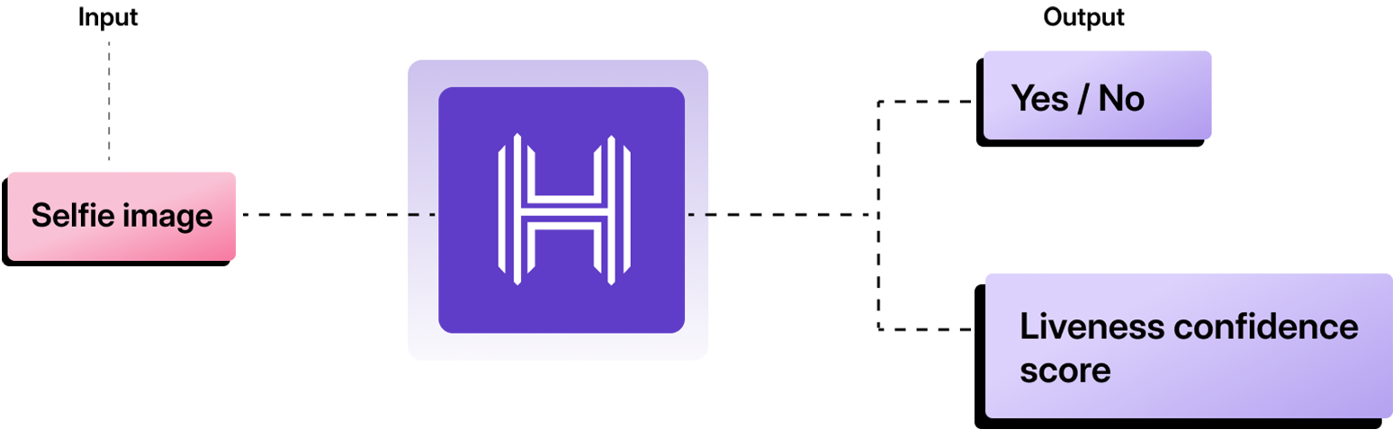 Input and output of Hypererge's Liveness Detection API