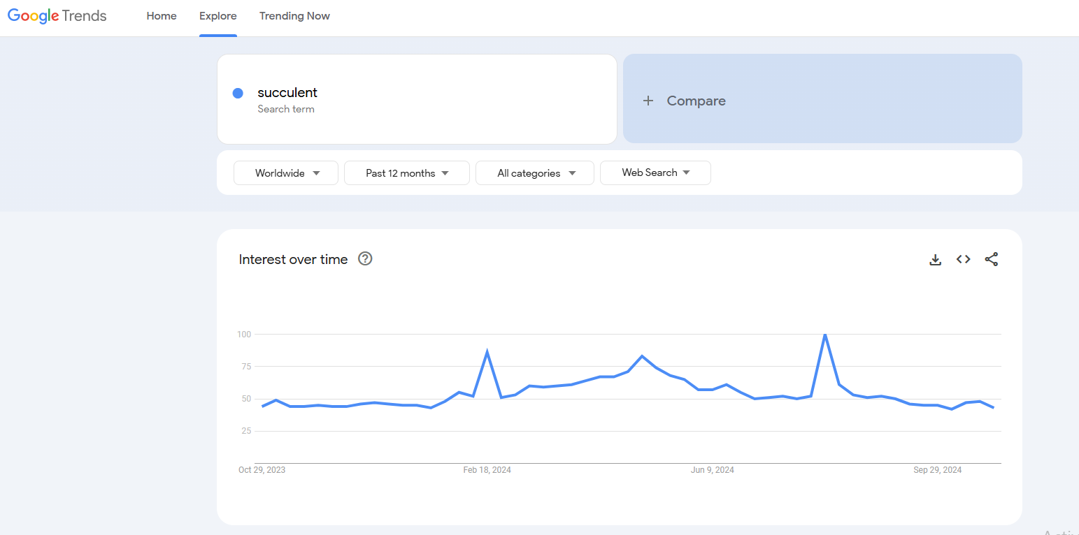 succulent google trends results