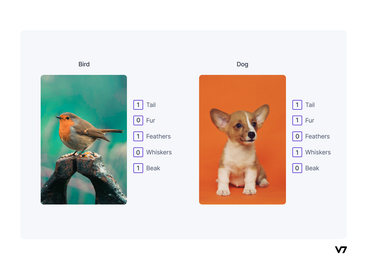 zero shot reasoning example of a bird and a dog with 0 and 1 for false and true statements of each attribute of each animal starting with the bird as a base