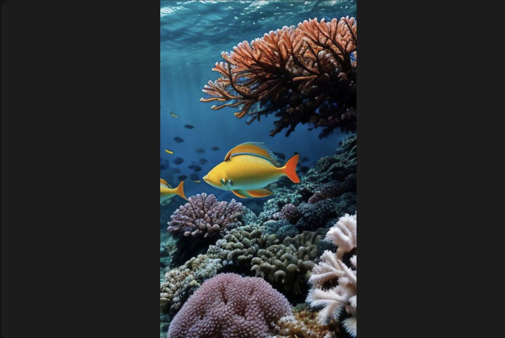 live wallpaper android phone