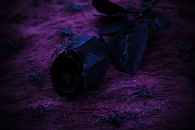 Fleur stabilisée pour produit