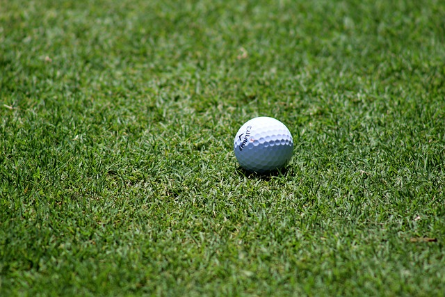 golf, nature, golf ball