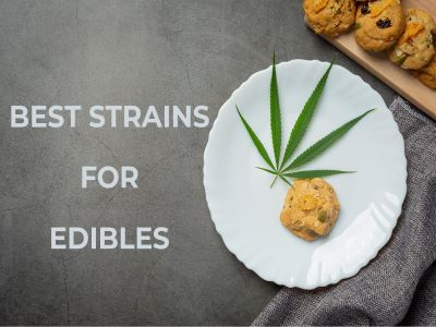 Best strains for edibles
