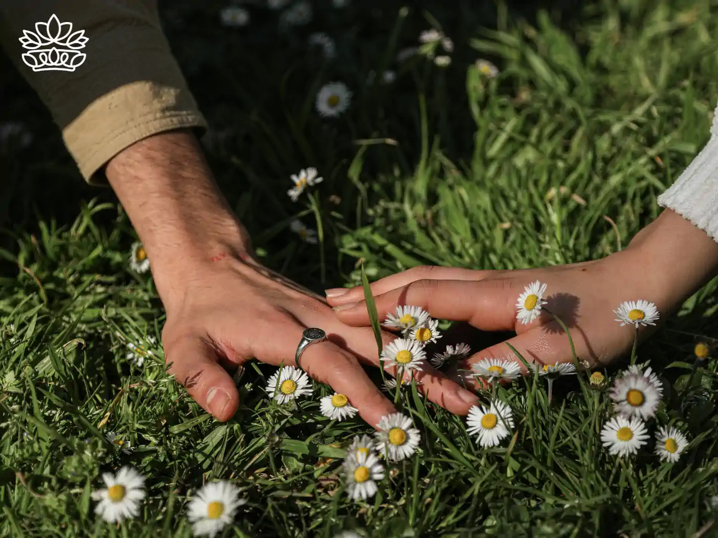 Close-up of two hands touching gently amidst daisies in a lush green meadow, symbolising a tender connection. Just Because Flowers. Delivered with Heart. Fabulous Flowers and Gifts.