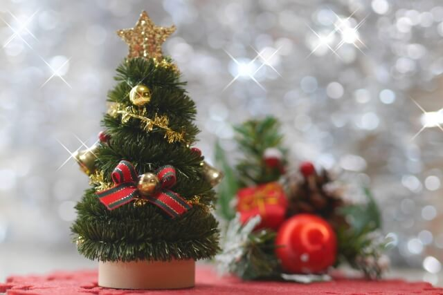 miniature Christmas trees