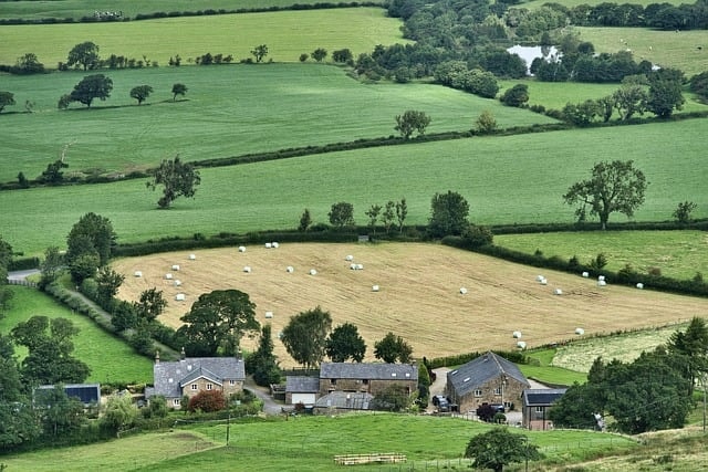 Unique Farm Stays for a Memorable Family Holiday