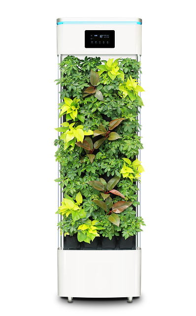 smart plant purifier, air purifier, plant